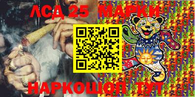 СК Владикавказ